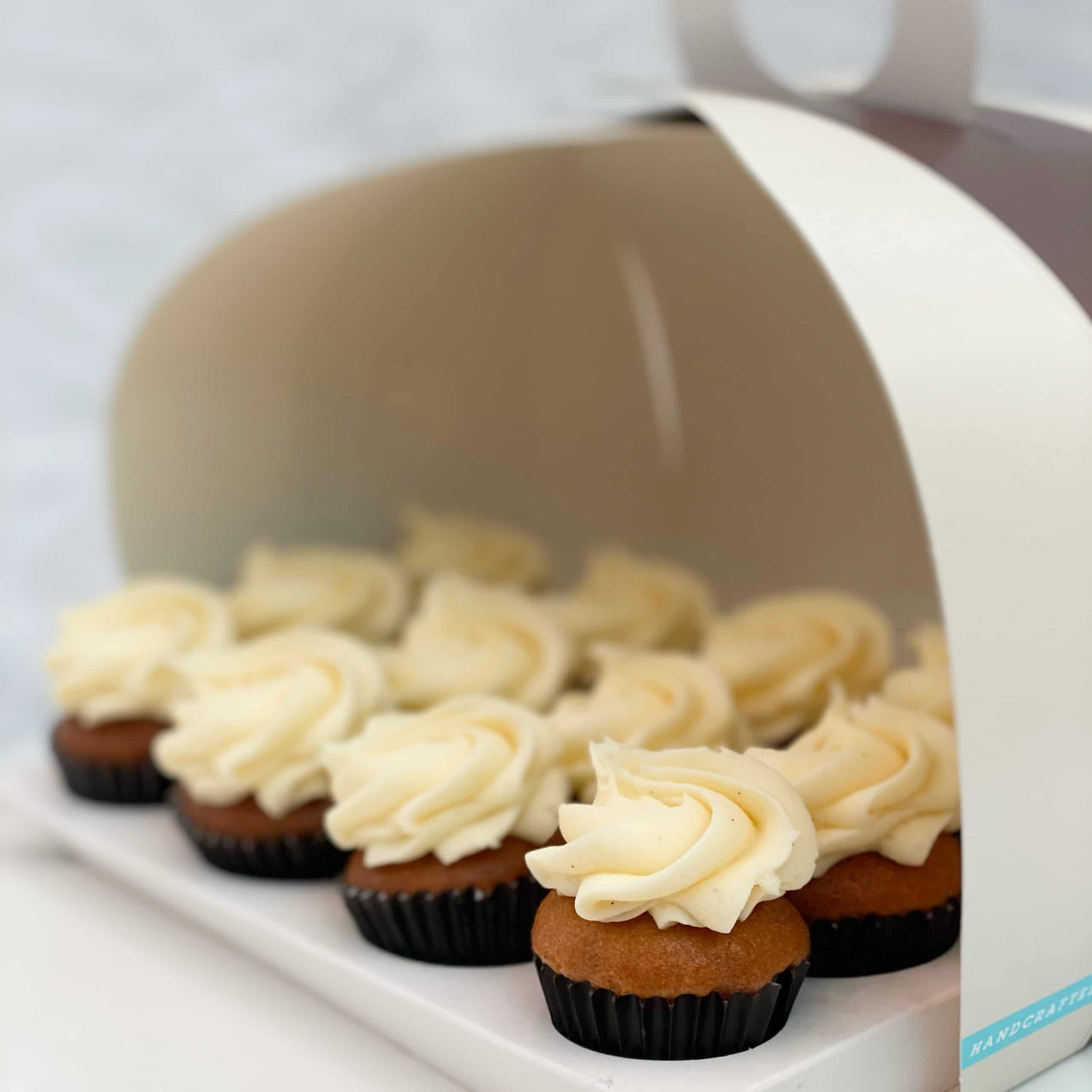 Clover Mini - Vanilla Bean