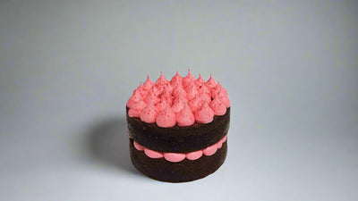 Raspberry Chocolate Delight Cake 2